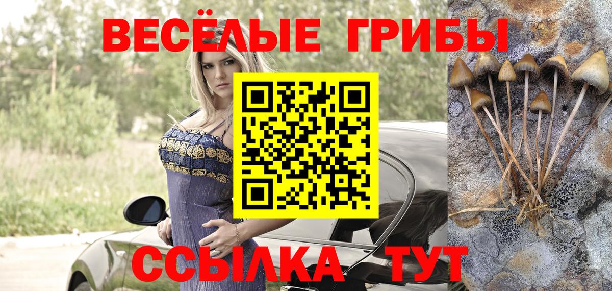 Псилоцибиновые грибы MAGIC MUSHROOMS Кстово